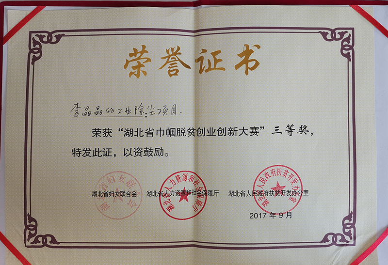 员工荣获省级荣誉证书